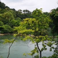 評論圖片 2
