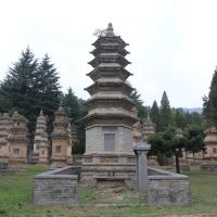 評論圖片 6