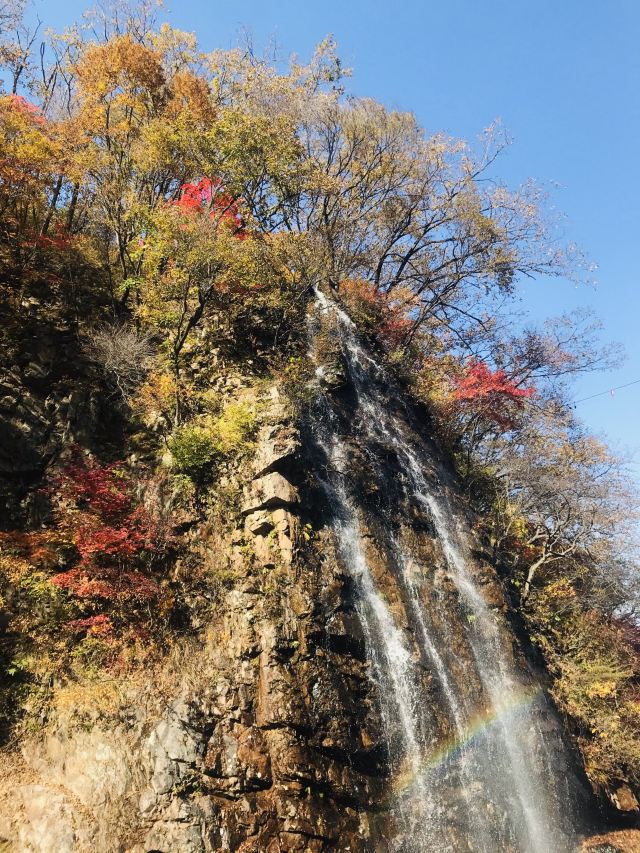 용도구