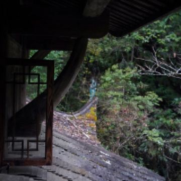 評論圖片 5