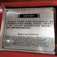 評論圖片 2