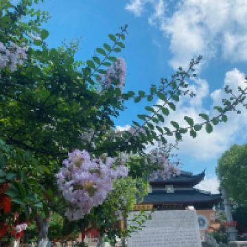 評論圖片 6