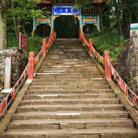 評論圖片 9
