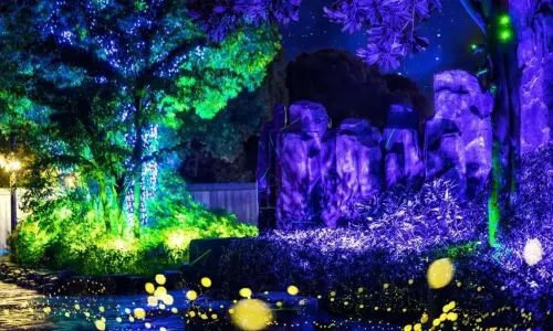 China Dinosaurs Land