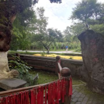評論圖片 9