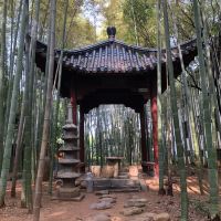 評論圖片 4