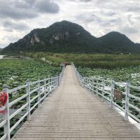 評論圖片 8