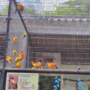 評論圖片 6