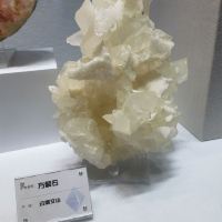 評論圖片 2