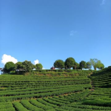 評論圖片 4