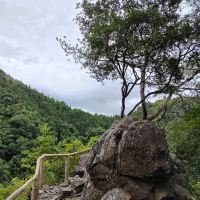 評論圖片 6