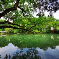 評論圖片 7