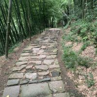 評論圖片 4