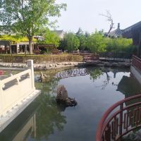 評論圖片 6