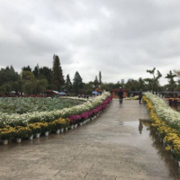 評論圖片 3