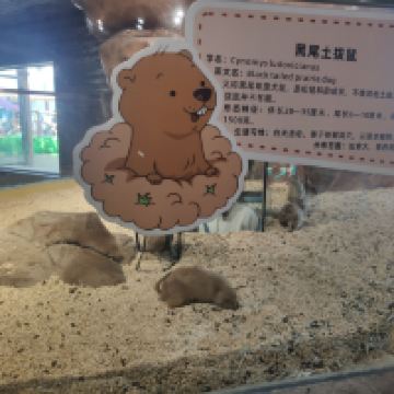 評論圖片 8