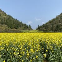 評論圖片 2