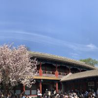 評論圖片 3