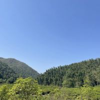 評論圖片 2