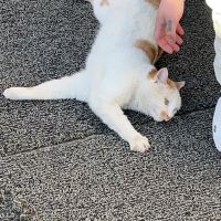 評論圖片 2