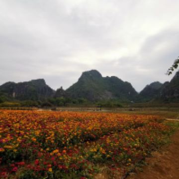 評論圖片 9