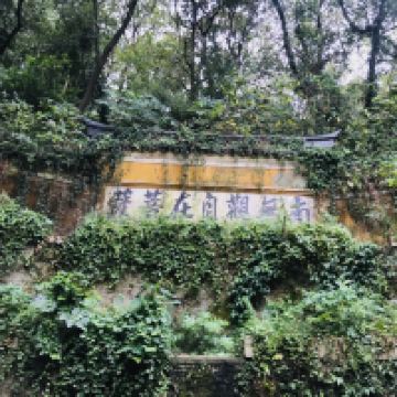 評論圖片 6