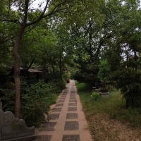 評論圖片 6