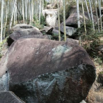 評論圖片 8