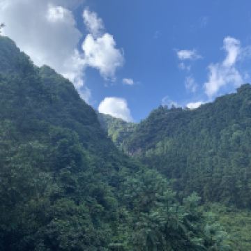 評論圖片 1