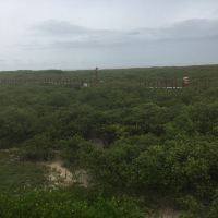 評論圖片 1