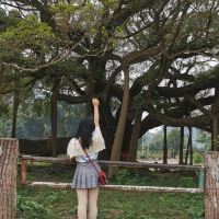 評論圖片 3