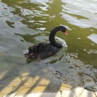評論圖片 5