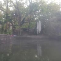 評論圖片 6