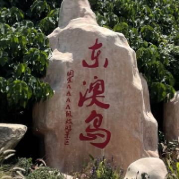 評論圖片 1