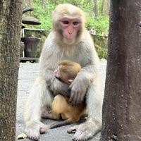 評論圖片 6