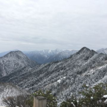 評論圖片 1