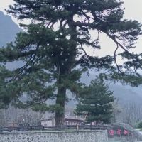 評論圖片 3