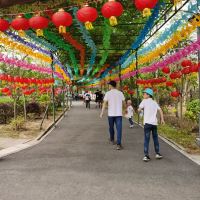 評論圖片 9