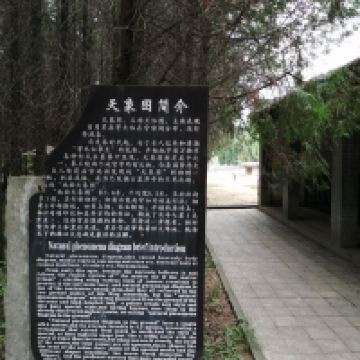 評論圖片 6