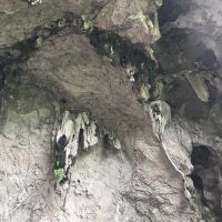 評論圖片 4