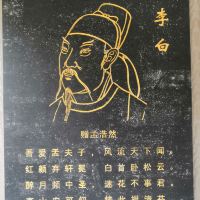 評論圖片 7