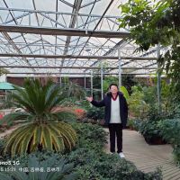 評論圖片 9