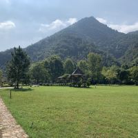 評論圖片 3