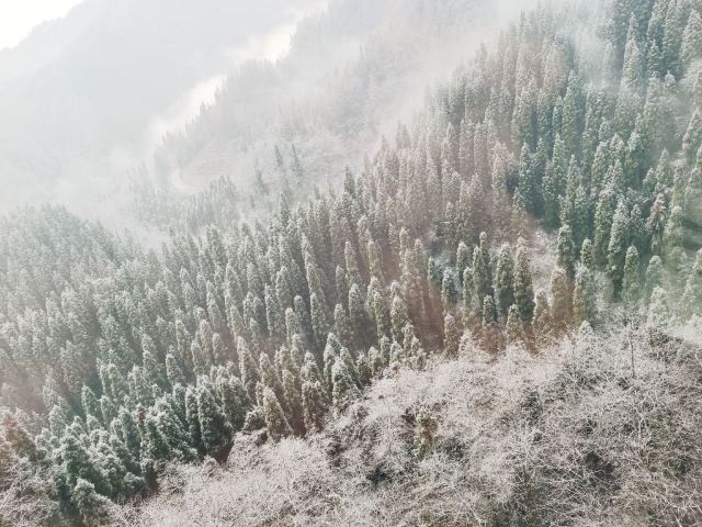 Wawushan Mountain Area
