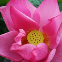 評論圖片 5