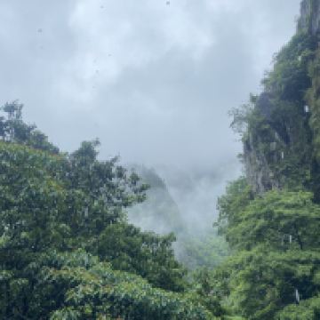評論圖片 3