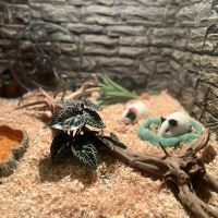 評論圖片 6