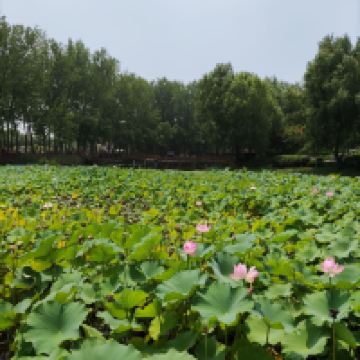 評論圖片 3