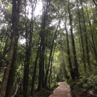 評論圖片 9