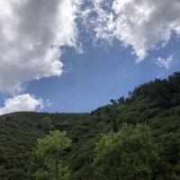 評論圖片 1